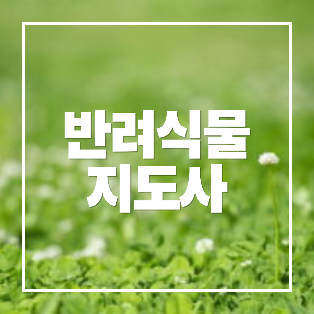 반려식물지도사